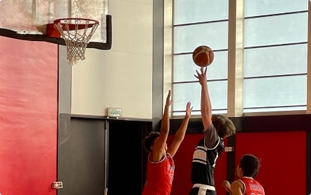 Panier de Basket