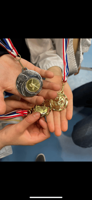 Médailles de Judo