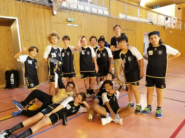 handball vie de la section