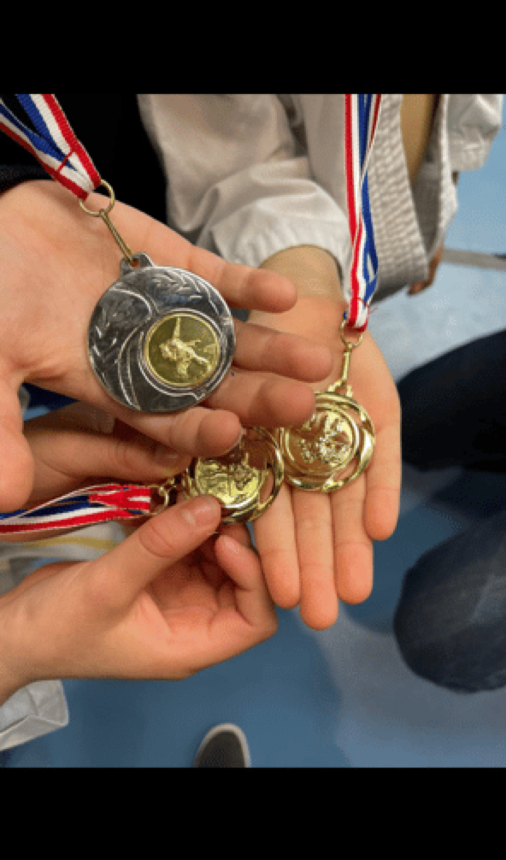 Médailles de Judo